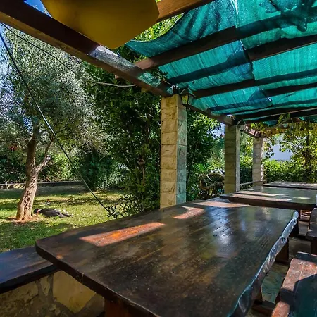 Milivoj Seget Vranjica